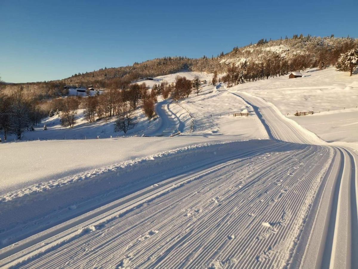 Na Er Vinteren Kommet Til Hallingdal Al Exterior photo