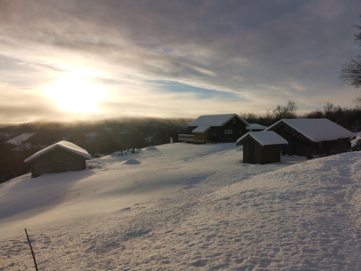 Na Er Vinteren Kommet Til Hallingdal Al Exterior photo
