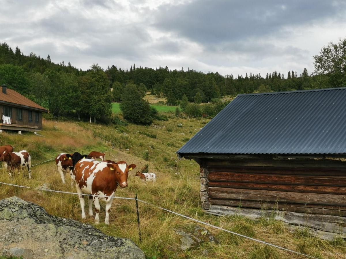 Na Er Vinteren Kommet Til Hallingdal Al Exterior photo